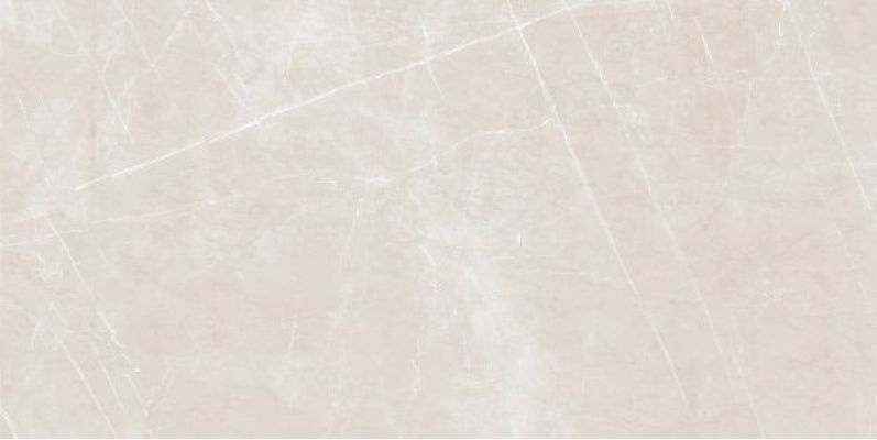 1002 SATIN BASE GLOSSY 60x120