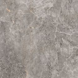 100305811 Elegant Grey Pulido 120x120