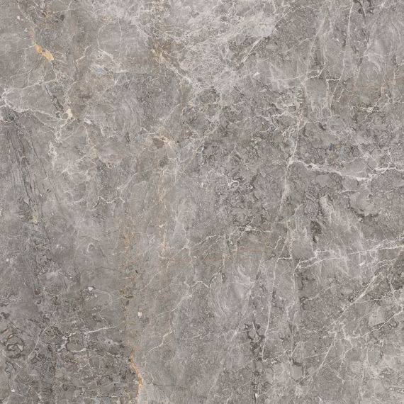 100305811 Elegant Grey Pulido 120x120