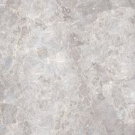 100305826 Elegant Bone Pulido 120x120