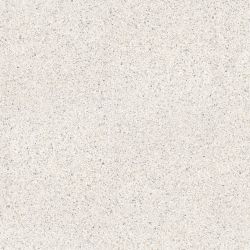 100305829 Treviso Blanco Lap 120x120