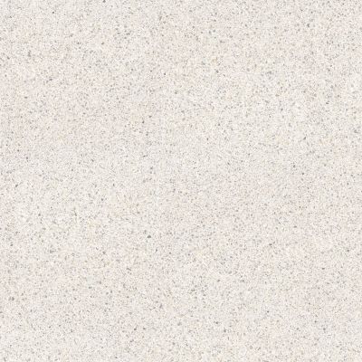 100305829 Treviso Blanco Lap 120x120