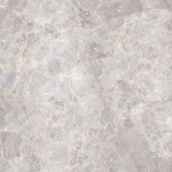 100307763 Elegant Bone polished 59.6x59.6