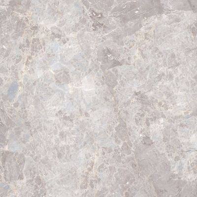 100307763 Elegant Bone polished 59.6x59.6