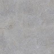 100310608 Hannover Silver 59,6x59,6