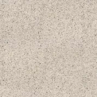 100310872 Treviso Beige 8mm 120x120