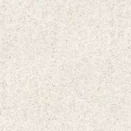 100310881 Treviso Blanco 8mm 120x120