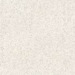 100310881 Treviso Blanco 8mm 120x120