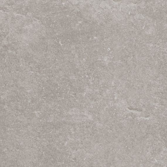 100324749 Керамогранит Verbier Silver 59.6x59.6
