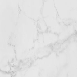 100325575 Carrara Blanco Brillo L 59.6x59.6