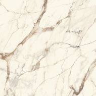 100331028 Плитка Calacata Gold Silk 120x120