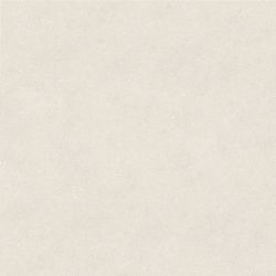 100348029 Керамогранит Terra Bone 120x120