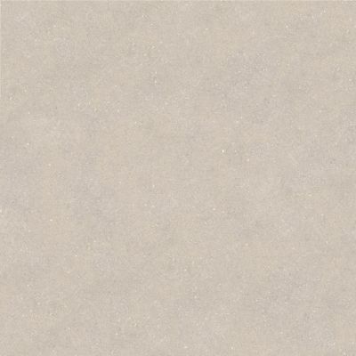 100348032 Керамогранит Terra Topo 120x120