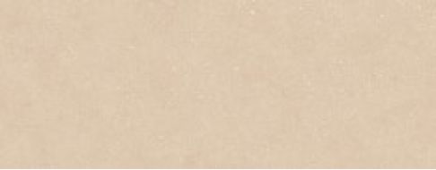 100354819 Плитка Terra Clay 59.6x150