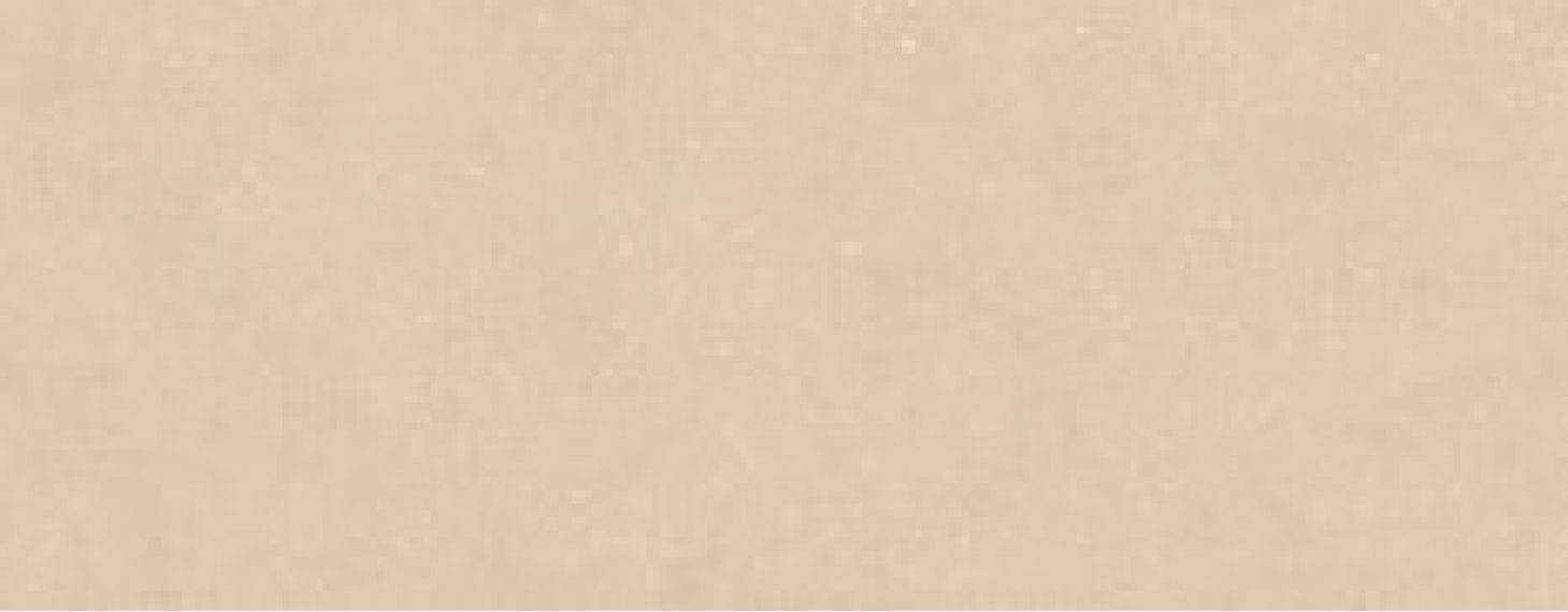 100354819 Плитка Terra Clay 59.6x150