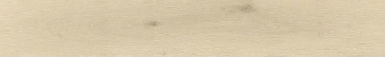 100364129 Керамогранит London Sand 23х150