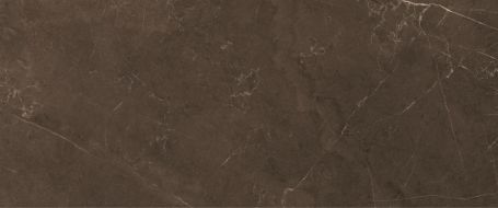 10100000501 Плитка Fiori Коричневый 60*25