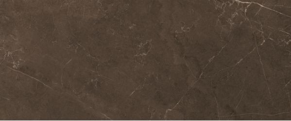 10100000501 Плитка Fiori Коричневый 60*25