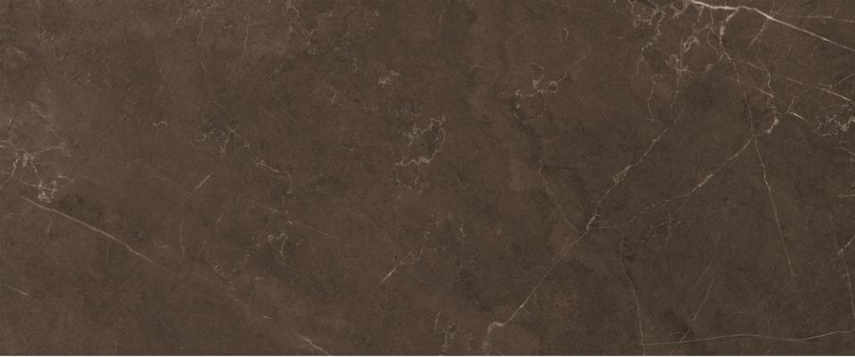 10100000501 Плитка Fiori Коричневый 60*25