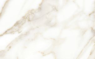 10100001116 Плитка Calacatta Gold Белый 40*25