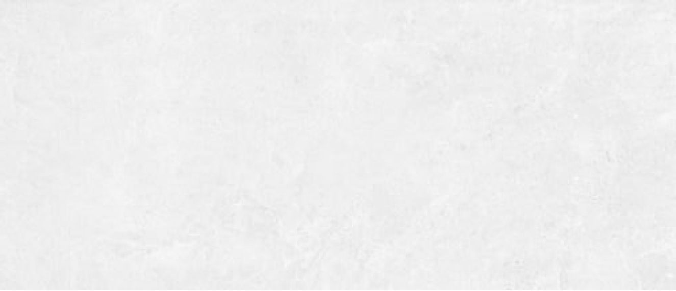 1019 White V. 280x120