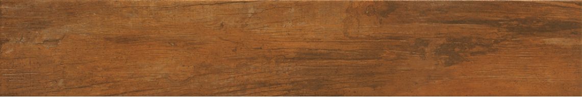 1036324 Golden Saddle 15x90