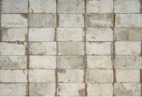 1052956 Havana SUGAR CANE 6Х27