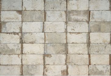 1052956 Havana SUGAR CANE 6Х27