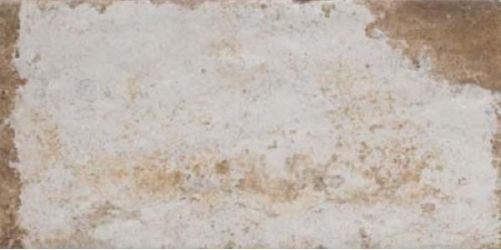 1053376 Havana Sugar Cane 20х40