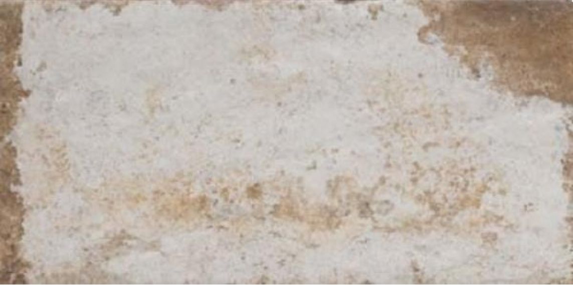 1053376 Havana Sugar Cane 20х40