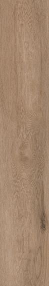1055 Керамогранит Casa Brown Mate 120x20