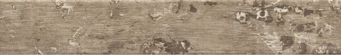 1058458 Kentucky American Elm 15*90