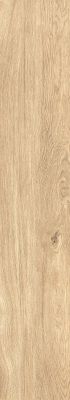 1060 Керамогранит Home Honey Mate 120x20