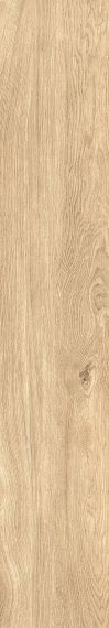 1060 Керамогранит Home Honey Mate 120x20