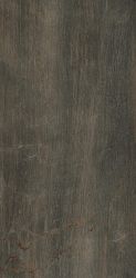 1066570 Fossil Bruno Ret 60x120 