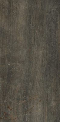 1066570 Fossil Bruno Ret 60x120 