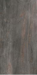 1066573 Fossil Piombo Ret 60x120