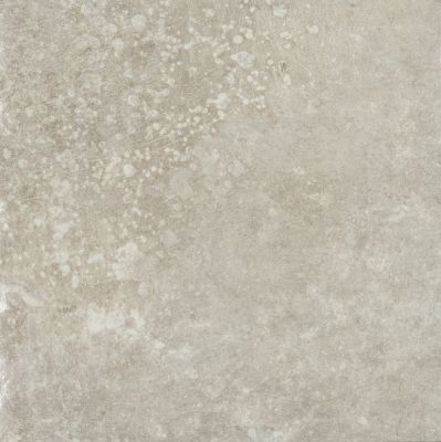 1067982 Grigio di Scotta 40x40