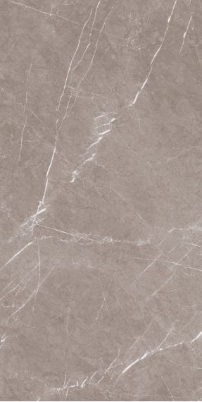 1070 Керамогранит Pietra Taupe Carv 120x60