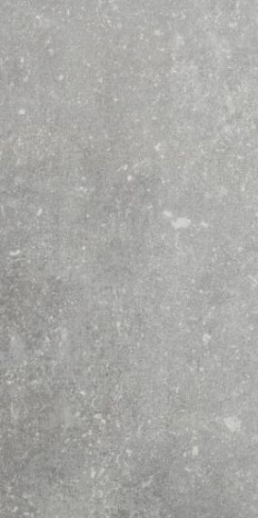 1076235 Керамогранит Ardenne Grigio 20x40