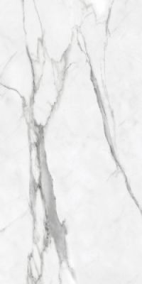 11-011-2 Da Vinci White Lux 60x120