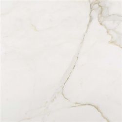 110-018-6 Lancelot Gold Mt Rect 60x60