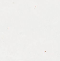 111339 ZELLIGE WHITE 12.5x12.5