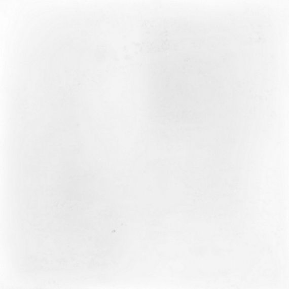 117383 MUD PURE WHITE 13,8x13,8