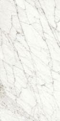 117430 Rhapsody White Fun Lev.Ret. 60x120