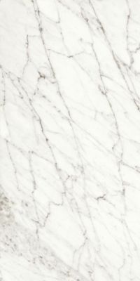 117430 Rhapsody White Fun Lev.Ret. 60x120