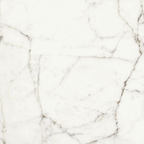 117466 WHITE FUN LEVIGATO+RETTIFICATO 60x60