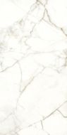 117782 Керамогранит Emotion Levigato Rettificato 60x120