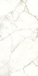 117782 EMOTION LEVIGATO+RETTIFICATO 60x120