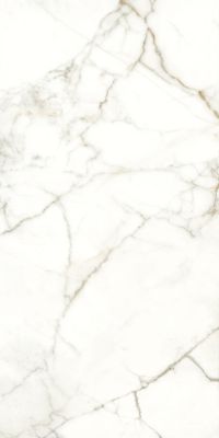 117782 EMOTION LEVIGATO+RETTIFICATO 60x120